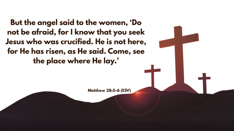 Matthew 285–6 (ESV)