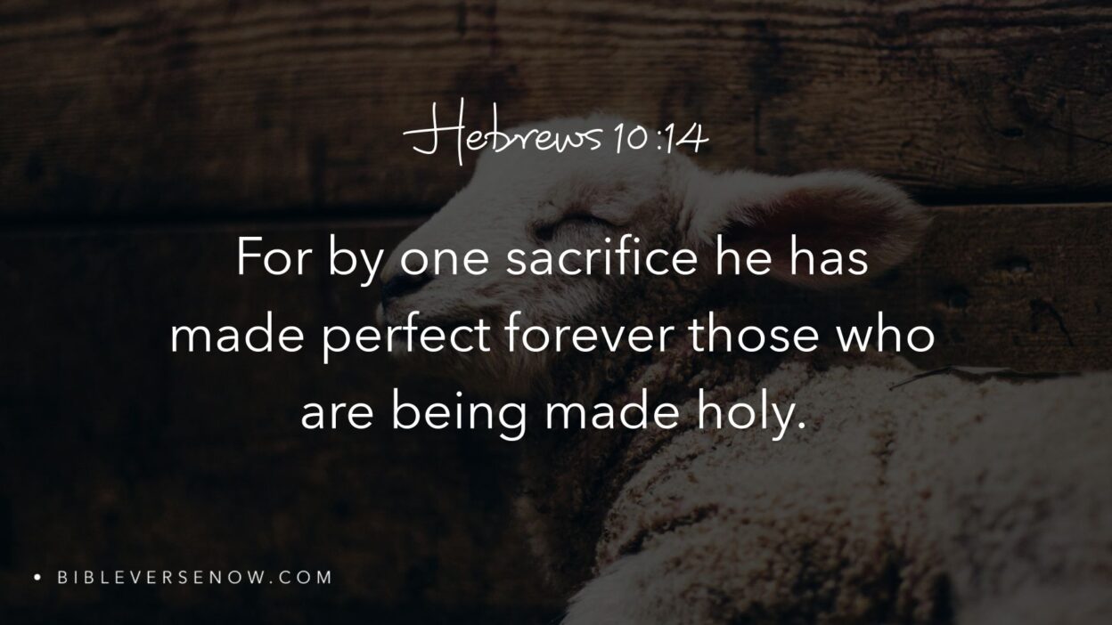 a scripture for today morning