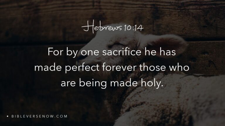 a scripture for today morning