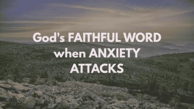 Image with text 'God's FAITHFUL WORD when ANXIETY ATTACKS' overlaid on a rugged landscape of rocky terrain, a dense forest, and distant hazy mountains under a muted, overcast sky. Christian theme addressing anxiety with scripture. - best-bible-verses-about-trusting-god