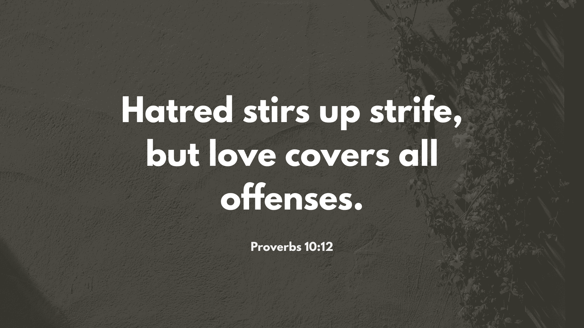 "Inspirational Christian quote from Proverbs 10:12, 'Hatred stirs up strife, but love covers all offenses,' displayed on a dark textured surface."