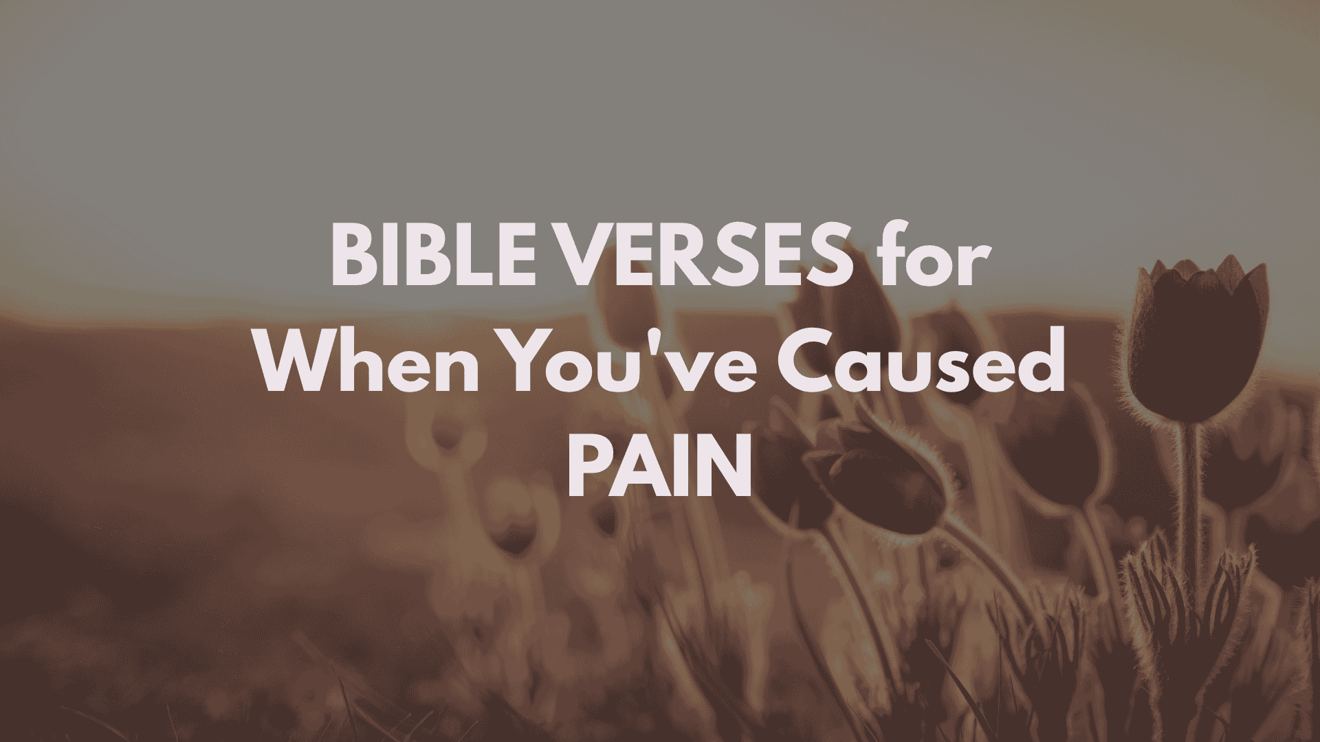 When You’ve Hurt Someone You Love: Finding Hope in Scripture