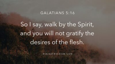 may 5, bible verse