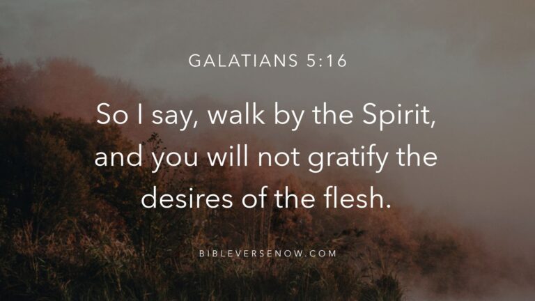 may 5, bible verse