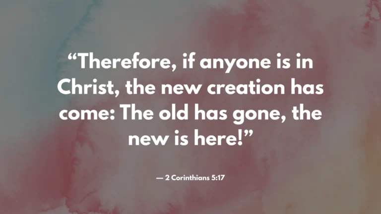 random bible verse of the day