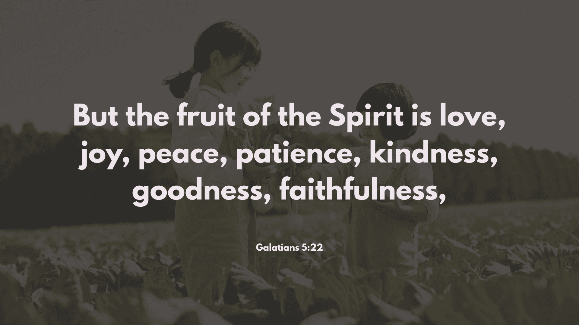 random bible-verse-of-the-day-may-9-2025