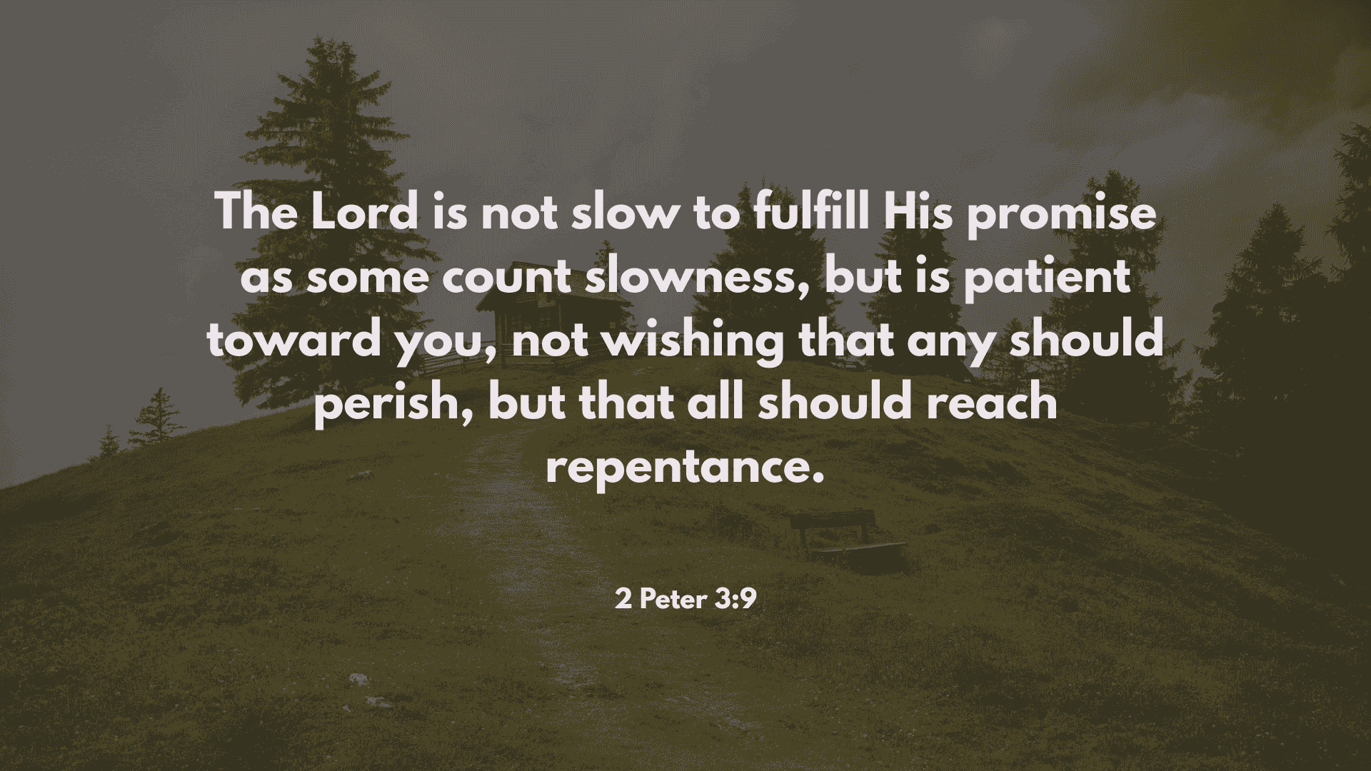 verse of the day may 11 2025