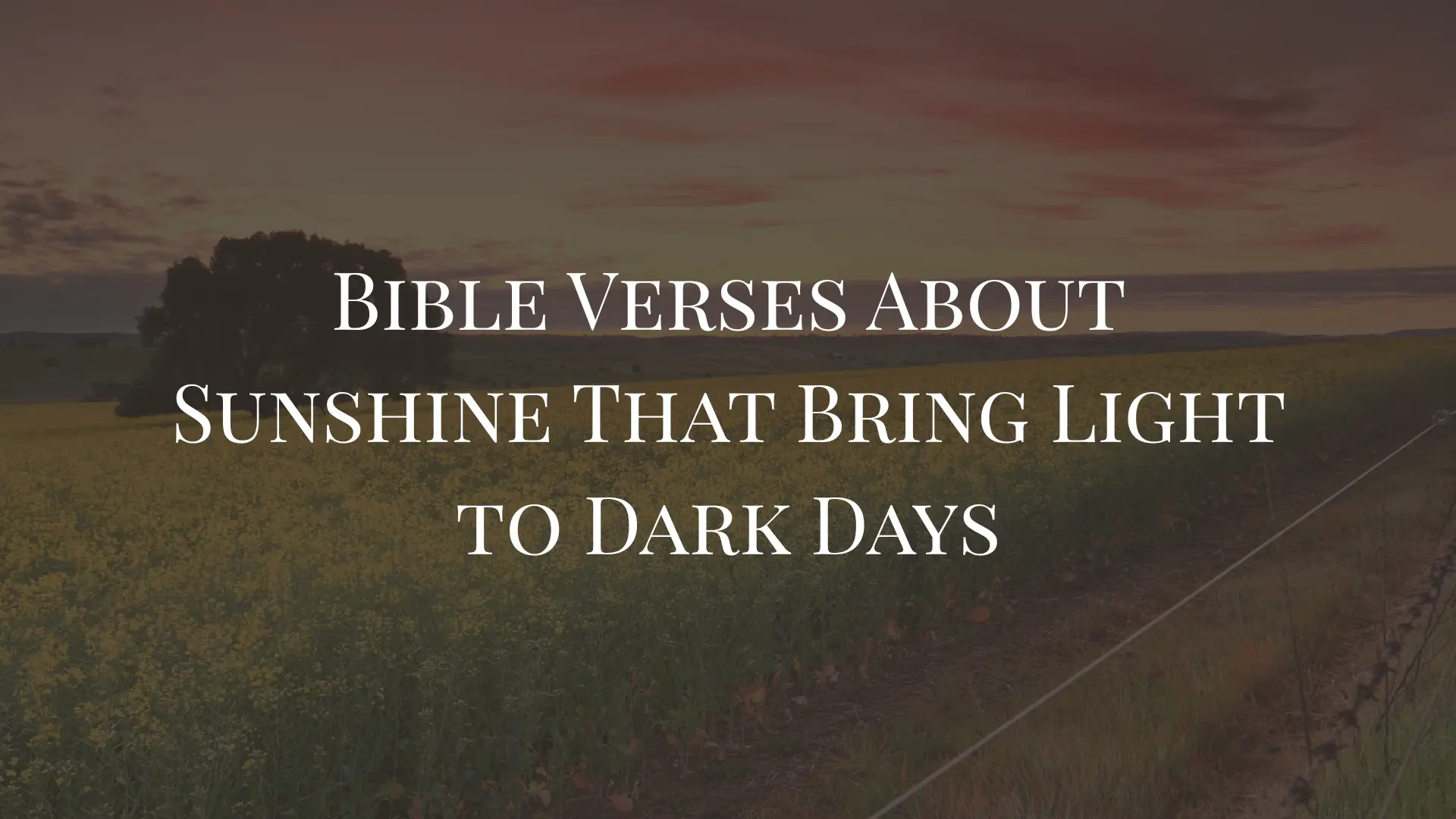 Bible Verses About Sunshine That Bring Light to Dark Days