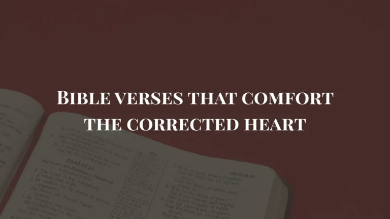 bible verses about discipline
