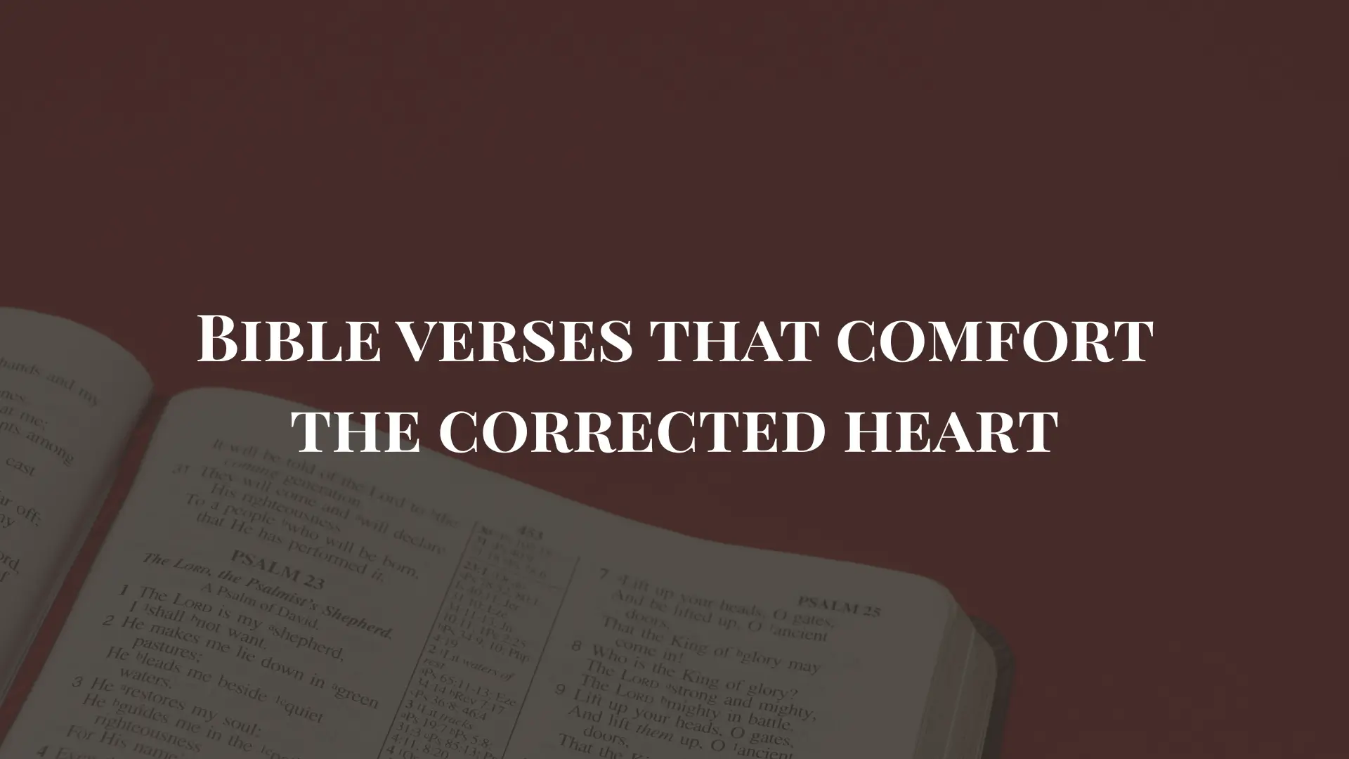 bible verses about discipline