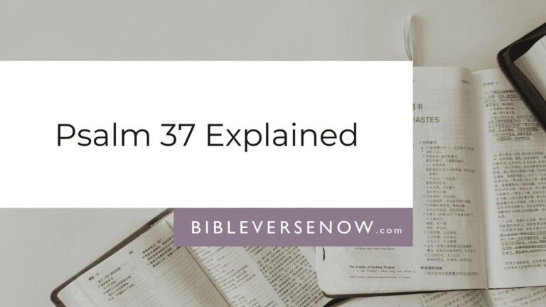 psalm-37-meaning-david-injustice