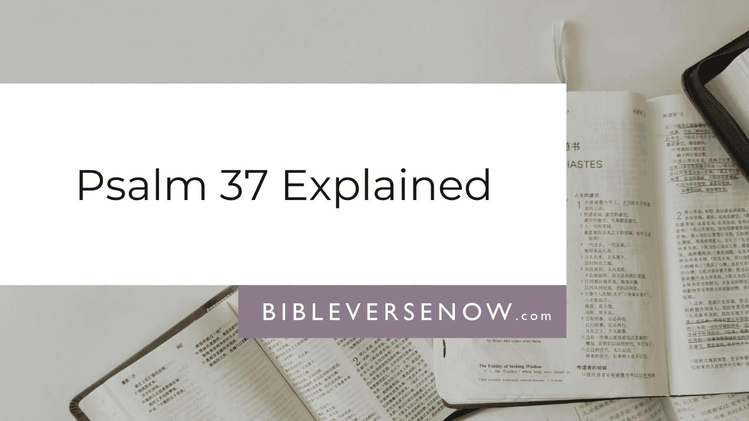 psalm-37-meaning-david-injustice