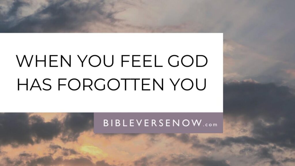 psalm-102-meaning-prayer-when-you-feel-forgotten