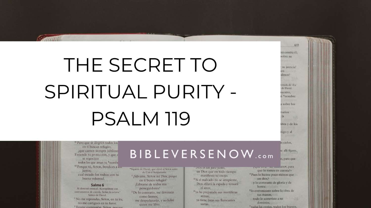 psalm-119-9-16-meaning-purity