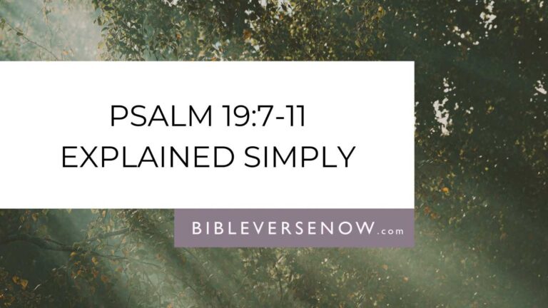 psalm-19-7-11-meaning-gods-word-transforms